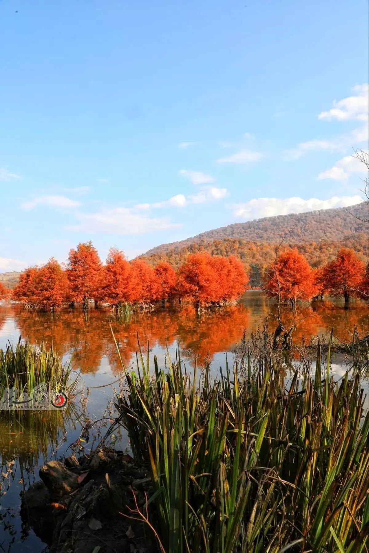 خبری از بارش باران در مازندران نیست