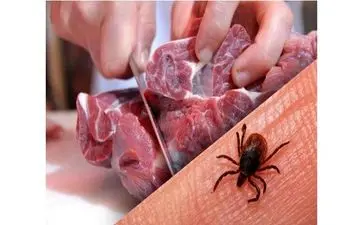 راه پیشگیری و جلوگیری از ابتلا به تب کریمه کنگو