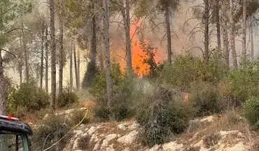 آتش‌سوزی گسترده به اسرائیل زد