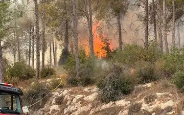 آتش‌سوزی گسترده به اسرائیل زد