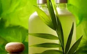 تاثیر گیاه خرفه بر درد سالمندان