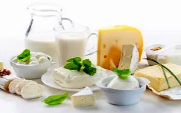 به این دلایل نمیتوان لبنیات را کامل از رژیم حذف کرد!