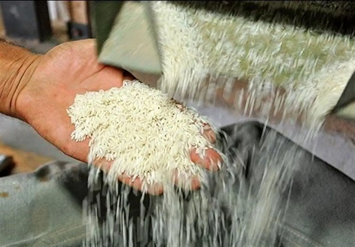 مسئولیت گرانی برنج برعهده جهاد کشاورزی است