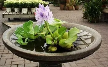  خرید و فروش شیطان زیبا در تهران+فیلم