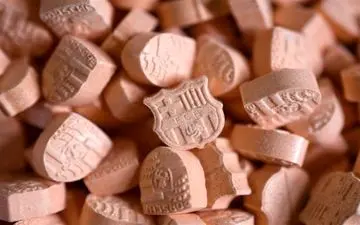  اکالیپتوس خوراکی بسیار سمی و باعث مرگ می‌شود