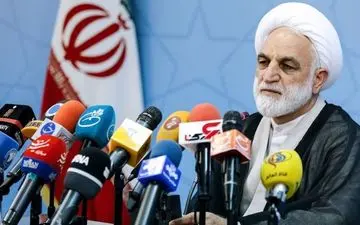 پرونده این نفر سوم مفسد اقتصادی کارتنی است!