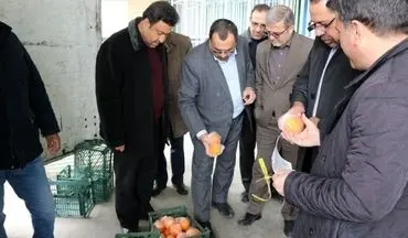 هر کیلو پرتقال 4500 تومان و سیب‌درختی 5000 تومان در بیش از 70 مرکز استان توزیع می‌شود