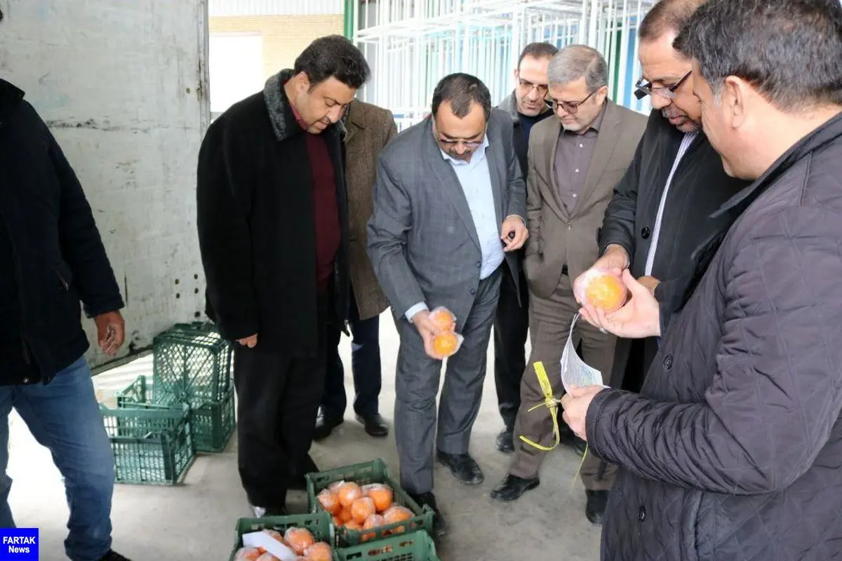 هر کیلو پرتقال 4500 تومان و سیب‌درختی 5000 تومان در بیش از 70 مرکز استان توزیع می‌شود