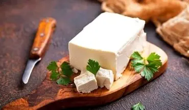 قیمت انواع پنیر صبحانه محلی / پنیر سفید ایرانی کیلویی ۹۵ هزار تومان
