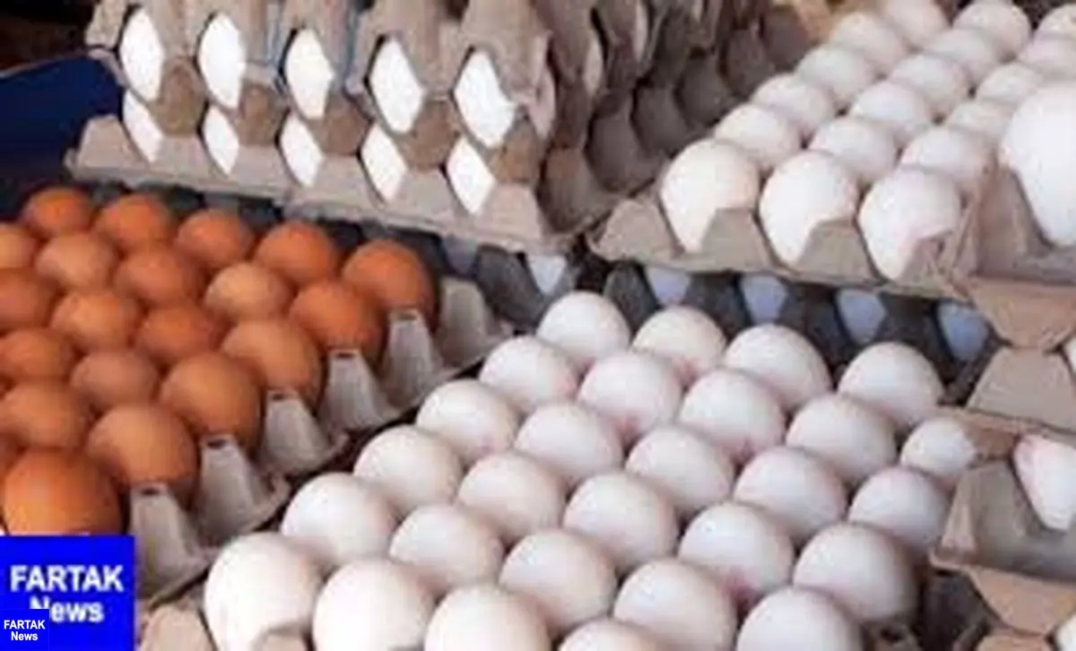  صادرات تخم‌مرغ نطفه‌دار گوشتی و تخم‌گذار آزاد شد + سند