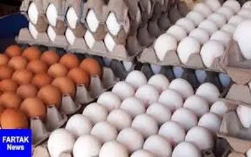  صادرات تخم‌مرغ نطفه‌دار گوشتی و تخم‌گذار آزاد شد + سند
