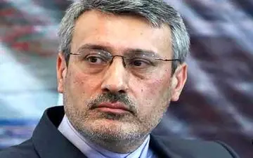 بعیدی نژاد: آوریل 2017 امکان سفر همسر زاغری به ایران فراهم شده بود