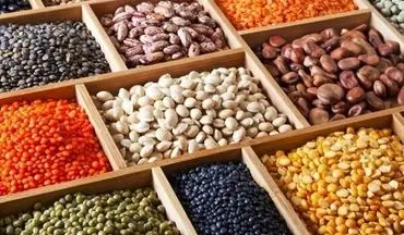  نرخ جدید حبوبات در میادین میوه و تره‌بار تهران اعلام شد 