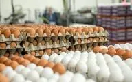 قیمت تخم‌مرغ  تغییر کرد+ قیمت جدید