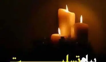  پیام تسلیت اسکودا در پی حادثه سقوط هواپیمای مسافربری 