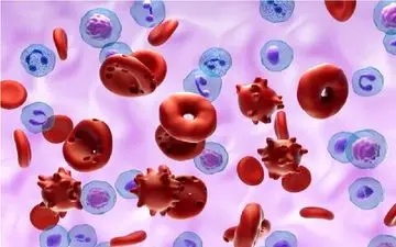 امید به درمان حملات قلبی و سکته مغزی با کشف مکانیسم جدید لخته شدن خون