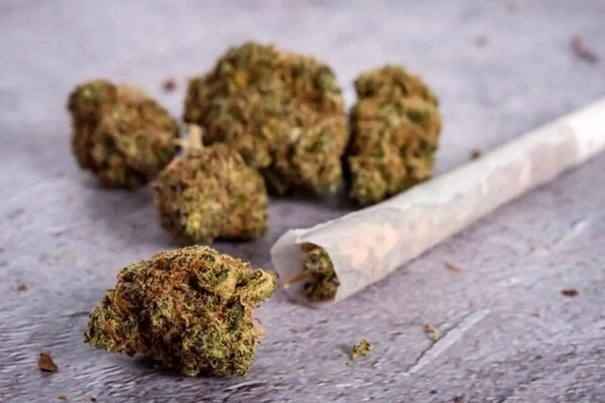 
۱۲٠ کیلوگرم حشیش در سواحل جاسک کشف شد
