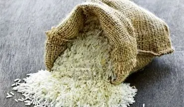 رقابت هند و پاکستان بر سر فروش برنج به ایران/ هیئت هندی به تهران سفر می‌کند 