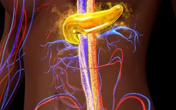 کشف امیدوارکننده درباره بیماری دیابت