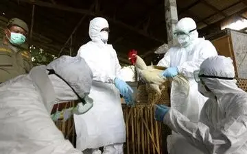 در سال ۲۰۲۵ باید مراقب این بیماری عفونی باشیم!

