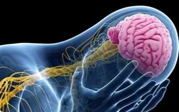 درمورد بیماری صرع بیشتر بدانید