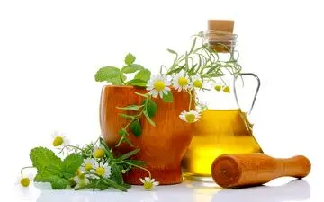 خواص و فواید فوق العاده گیاه افنان برای خانم ها