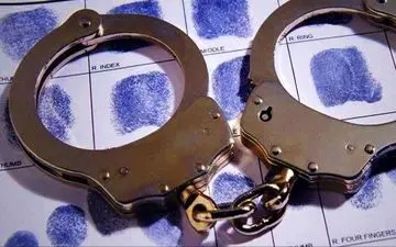 دستگیر شدن کلاهبرداران یک شرکت هرمی