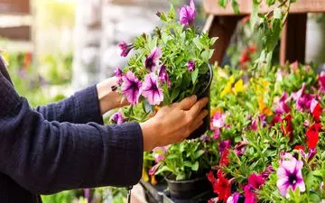  آدمکشی در گل فروشی+ جزئیات 