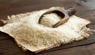 واردات برنج ۳۴درصد افزایش یافت
