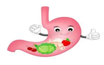 چند روش ساده و مؤثر برای تقویت معده