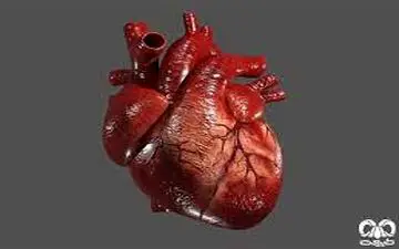 بلای جبران ناپذیری که سیگار سر قلب تان می آورد 