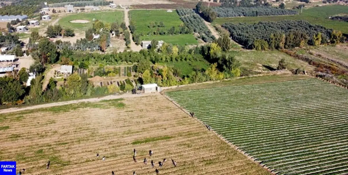 رژیم صهیونیستی، زمین‌های کشاورزی فلسطینیان را زیر آب غرق کرد