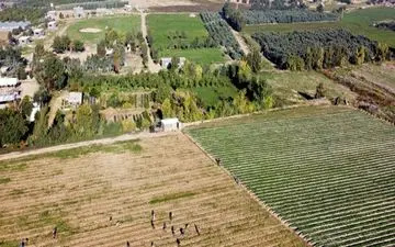 رژیم صهیونیستی، زمین‌های کشاورزی فلسطینیان را زیر آب غرق کرد