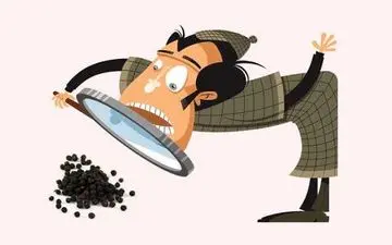  ریشه ضرب المثل "زاغ سیاه کسی را چوب زدن": داستانی درمورد رقابت و جاسوسی