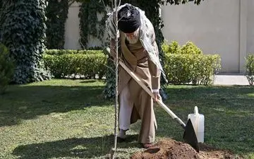 همزمان با روز درختکاری رهبر معظّم انقلاب دو اصله نهال میوه غرس کردند