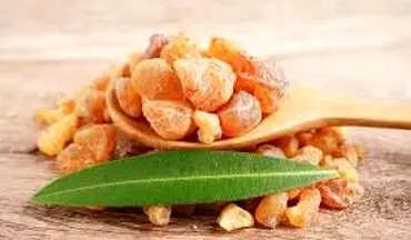 تاثیر کندر بر ام اس!