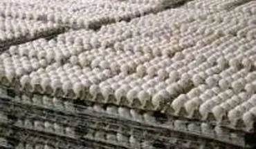 وزارت جهاد کشاورزی ادعای همکاری با مافیای واردات تخم‌مرغ را رد کرد