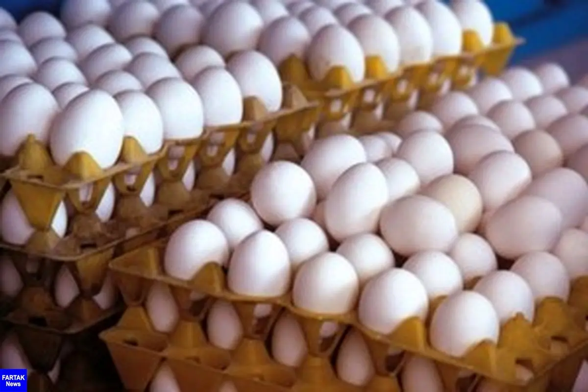 آغاز توزیع تخم مرغ با قیمت مصوب ۱۳ هزار و ۸۰۰ تومان از این هفته