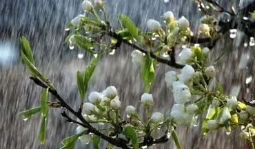 باران بهاری و کاهش 12 درجه‌ای دمای هوا از دوشنبه در گیلان