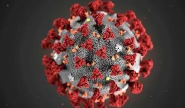 تاکنون ۲ نوع از "کرونا ویروس" در جهان شیوع پیدا کرده است
