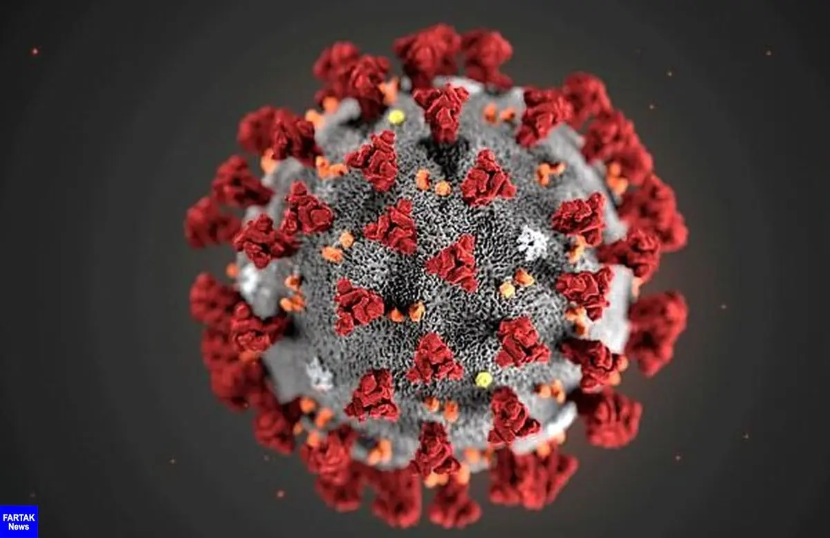 تاکنون ۲ نوع از "کرونا ویروس" در جهان شیوع پیدا کرده است
