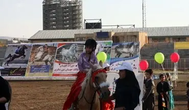 گزارش تصویری چهارمین جشنواره ملی زیبایی‌های اسب (تاق‌بستان) جشنواره اسب اصیل کُرد