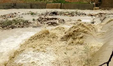 طغیان شدید رودخانه فصلی دشت عباس در ایلام + فیلم