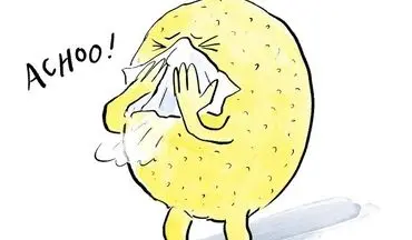 آیا واقعاً ویتامین سی، سرماخوردگی را درمان می‌کند