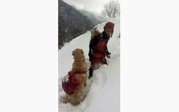 مهربانی دختر ترک در قاب تصویر