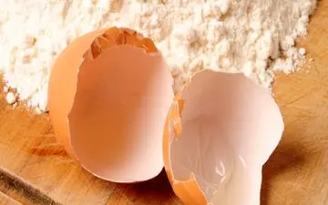 بخش کمترشناخته شده تخم‌مرغ که برای پوست و مو مفید است
