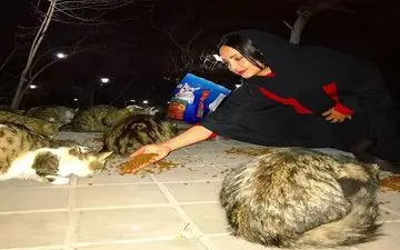 حمایت و کمک مریم خدارحمی به گربه ها (عکس)