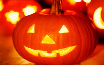 پرورش کدوتنبل هایی که خوراک غول‌هاست 