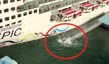 لحظه تصادف کشتی کروز غول پیکر با لنگرگاه! +فیلم 