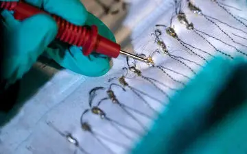 نوآوری جالب کره‌ای‌ها برای تولید برق از گرمای بدن